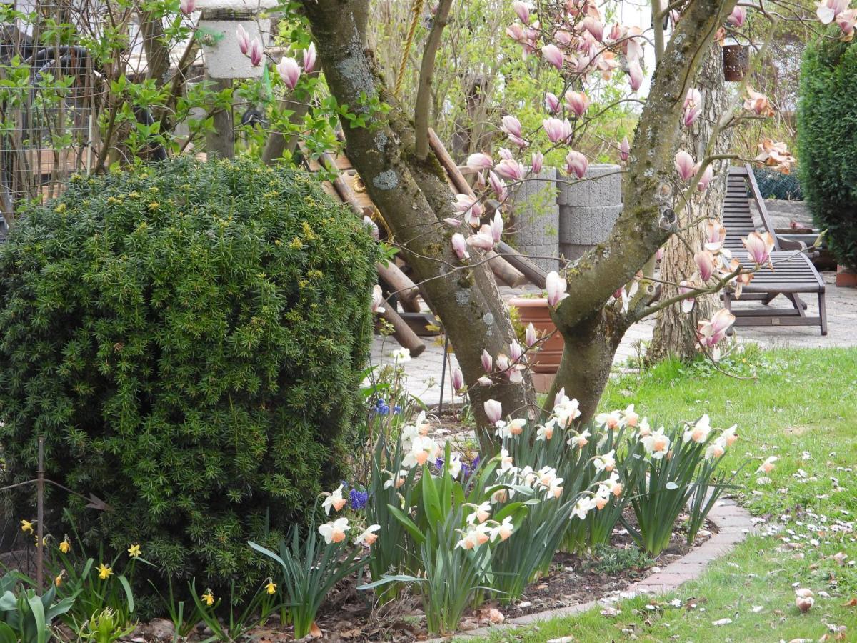 Ferienwohnung "Off Born" Familie Bremm Zell an der Mosel Luaran gambar